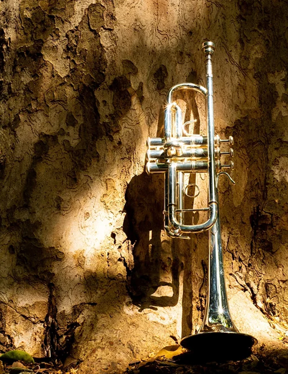 ブロウミュージック